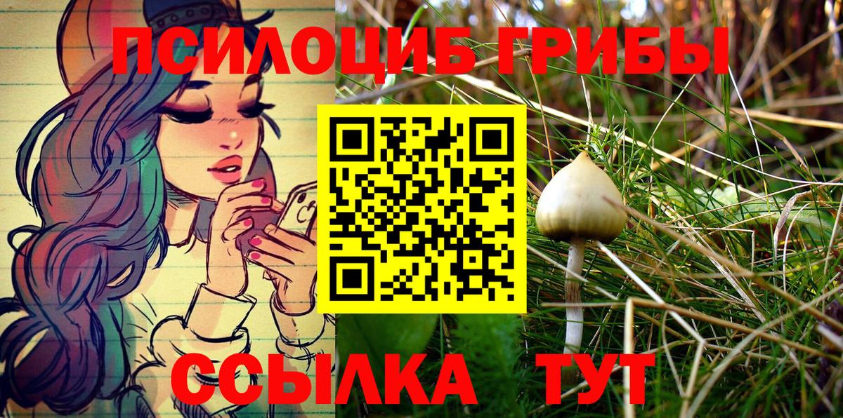 Псилоцибиновые грибы GOLDEN TEACHER Учалы