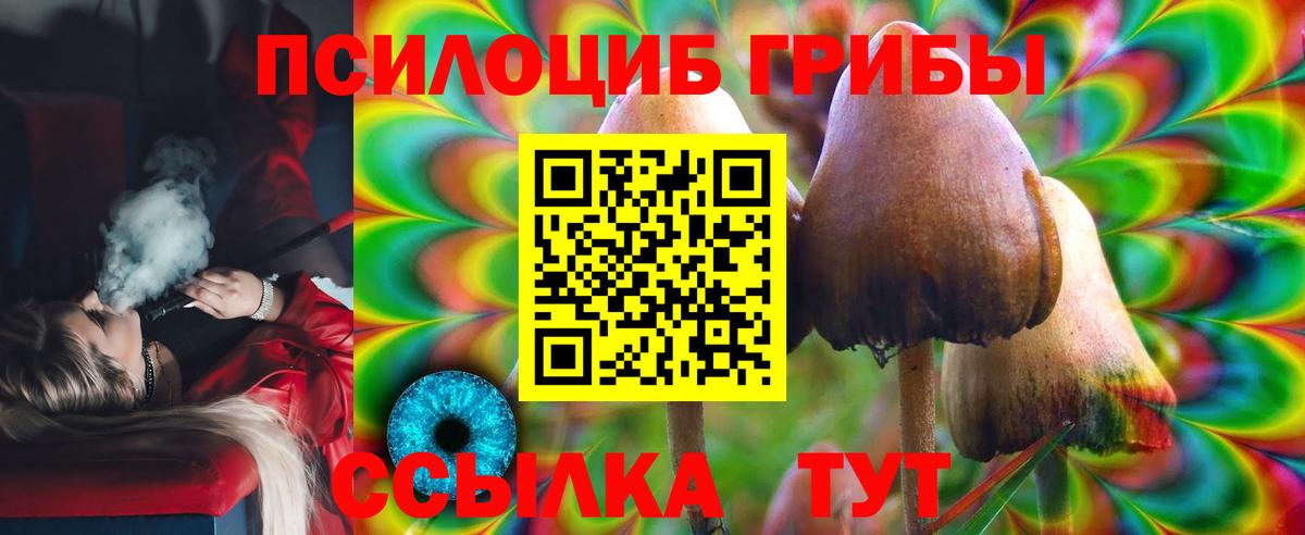 Псилоцибиновые грибы GOLDEN TEACHER  Вход с VPN  Учалы  Галлюциногенные грибы мухоморы 